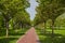 Jogging track in garden of public park among greenery trees, flower shrub and bush, black asfalt concrete walkway beside green