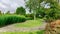 Jogging track in garden of public park among greenery trees, flower shrub and bush, grey stone pavement walkway beside green grass