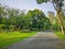 A jogging track in a garden of public park among greenery trees,  shrub and bush, people wearing colorful T-shirt running