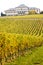 Johannisberg Castle with vineyard, Hessen, Germany