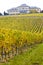 Johannisberg Castle with vineyard, Hessen, Germany