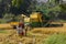 John Deere pick Thresher unloads in wagon, Hunumanahalli, Karnataka, India