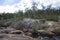 John Forrest National Park rocky landscape near waterfall