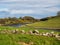 John O`Gaunt reservoir