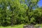 John Oliver`s Homestead Cades Cove Valley in The Tenneessee  Smoky Mountains