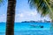 JOHNNY CAY, COLOMBIA - OCTOBER 21, 2017: Palm trees in Johnny Cay, Island of San Andres, Colombia in a beautiful beach