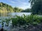 Johnson nature center in Bloomfield Hills Michigan in summer