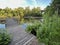 Johnson nature center in Bloomfield Hills Michigan in summer