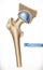 Joint. Human skeleton, medicine. 3d vector icon