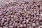 Jojoba beans background