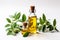 Jojoba and olive oil in glass bottles, with leaves on a plain white background. Marketing branding concept shot