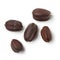 Jojoba seeds