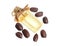 Jojoba or Simmondsia chinensis, goat nut, deer nut pignut. With oil