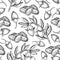 Jojoba vector seamless pattern drawing. vintage background with berry, nuts, branch.