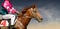 Jokey on a thoroughbred horse runs isolated on color background