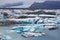 Jokulsarlon Glacial Lagoon