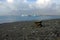 Jokulsarlon glacial lake and icefloat on the river and bench