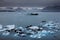 Jokulsarlon - the most famous Icelandâ€™s glacier lagoon.