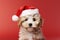 Jolly baby dog in crimson Santa cap at Noel