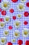 Jolly blue red whute yellow background with flowers and buttons