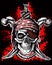 Jolly Roger, pirate symbol