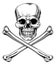 Jolly Roger Skull and Crossbones