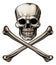 Jolly Roger Skull and Crossbones Sign