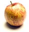 Jonagold apple on white background