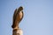 Jones Archaeological Museum -carved wooden eagle-Moundville, Alabama