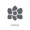 Jonquil icon. Trendy Jonquil logo concept on white background fr