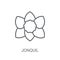 Jonquil icon. Trendy Jonquil logo concept on white background fr