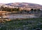 Jordan, Amman, Gerasa, Jerash, the hole and the maximum thistle