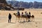 Jordan, camel ride in Wadi Rum