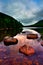 Jordan Pond, Acadia National Park