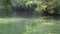 Jordan River Israel trees overhanging