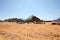 Jordan, Wadi Rum, Camel