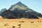 Jordan, Wadi Rum, camel caravan