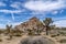 Joshua Tree California desert view with Joshua trees and amazing rock mountain