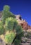 Joshua tree and cliffs, Virgin Mountains, Arizona