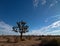 Joshua Tree cloudscape in Southern California high desert