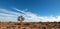 Joshua Tree cloudscape in Southern California high desert near Palmdale California