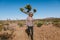 Joshua tree a curly haired blonde man is walking in the fierce heat and deep blue skies of the south western desert of North