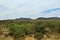 Joshua Tree Forest Parkway, Scenic Route 93, Arizona, United States