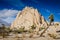 Joshua Tree - Intersection Rock - Joshua Tree National Park