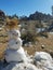 Joshua Tree National Forest Snowman