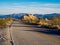 Joshua Tree National Park