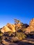 Joshua Tree National Park