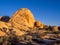 Joshua Tree National Park