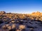 Joshua Tree National Park