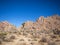 Joshua Tree National Park